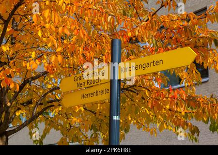 Goldener Oktober in Aschersleben Stockfoto