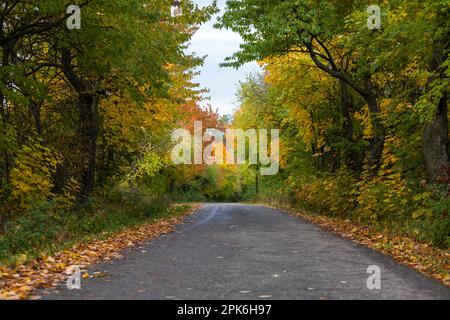 Straße mit herbstlichem Flair Stockfoto