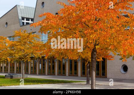 Goldener Oktober in Aschersleben Stockfoto