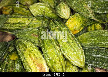 Bittere Melonen (Momordica charantia) auf einem Marktstand, Mauritius Stockfoto