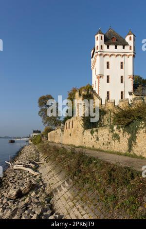 Wahlschloss, Eltville am Rhein, Rheingau, Hessen, Deutschland Stockfoto