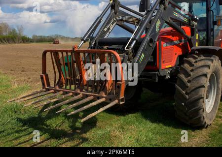 Traktor Massey Ferguson 6290, Nahaufnahme der Frontladergabeln, Schweden Stockfoto