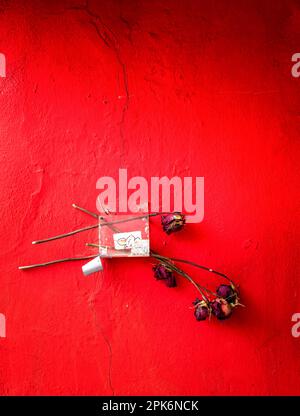 Verwelkte Rosen vor einer roten Mauer, Berlin, Deutschland Stockfoto