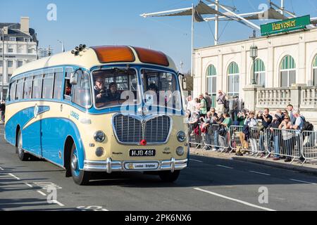 Alten Bus nähert sich der Ziellinie der London to Brighton Veteran Car Run Stockfoto