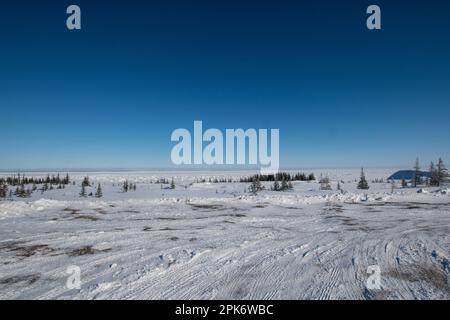 Ice on Hudson Bay in Churchill, Manitoba, Kanada Stockfoto