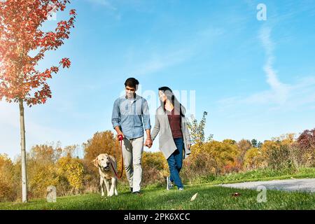 Einen Hund zu haben, wird dich mit vielen glücklichen Tagen segnen. Ein liebevolles junges Paar, das mit seinem Hund durch den Park spaziert. Stockfoto