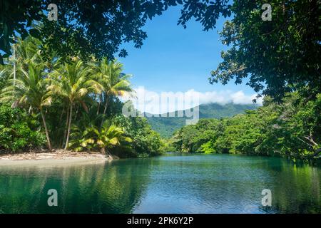 Malerischer Blick auf Cooper Creek, Cape Tribulation, Far North Queensland, FNQ, QLD, Australien Stockfoto