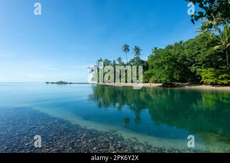 Malerischer Blick auf Cooper Creek, Cape Tribulation, Far North Queensland, FNQ, QLD, Australien Stockfoto