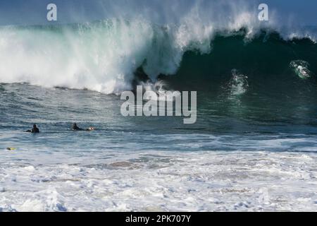 Surfer auf einer großen Welle, Newport Beach, Kalifornien, USA Stockfoto