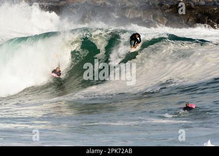 Surfer auf einer großen Welle, Newport Beach, Kalifornien, USA Stockfoto