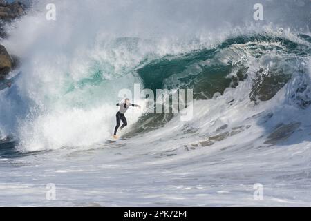 Surfer auf einer großen Welle, Newport Beach, Kalifornien, USA Stockfoto