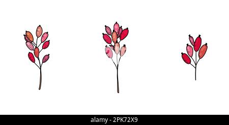 Handgezeichnete grafische Vektorreihe von Zweigen mit Beeren, Barbeeren, Cranberry, Cranberry Stock Vektor