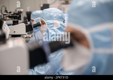 Ulm, Deutschland. 04. April 2023. Mitarbeiter der TRUMPF Photonic Components GmbH sitzen an Arbeitsplätzen in der Reinraumproduktion, an denen Wafer mit VCSEL-Laserdioden überprüft werden. Kredit: Marijan Murat/dpa/Alamy Live News Stockfoto