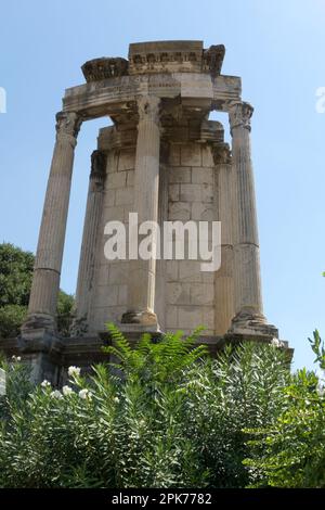 Der Tempel der Vesta, der sich im Forum Romanum befindet, wurde der Göttin Vesta gewidmet, der jungfräulichen Göttin des Herzens, der Heimat und der Familie in Rom, Italien Stockfoto