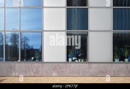 Große Fenster in einem Bürogebäude. Hinter dem Glas befinden sich viele Pflanzen und Blumen im Innenbereich. Stockfoto
