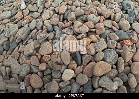 Steinen am Strand Stockfoto