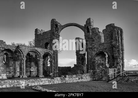 Bögen und Säulen Stockfoto