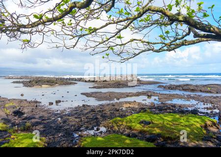 Ruhige hawaiianische Meereslandschaft, umrahmt von Baumzweigen, mit Reflexionen des Himmels in den Wasserbecken entlang des Landes. Stockfoto