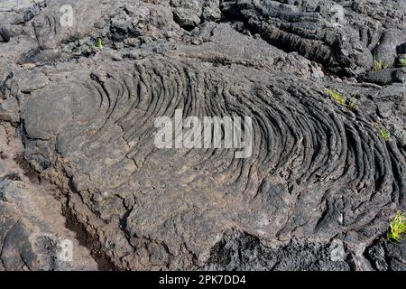 Komplizierte Falten und Muster der Küste Hawaiis, die durch die gefrorene Lava geschaffen wurden, zeigen das Zusammenspiel zwischen den Elementen und den mächtigen Kräften o Stockfoto