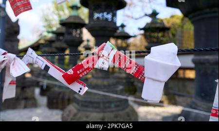 Omikuji, ein Glücksfall Stockfoto