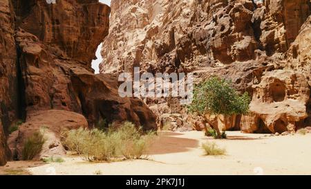 Majestätischer Blick auf die Wadi Rum Wüste, Jordanien, das Tal des Mondes. Orangensand, Felsen, grüne Pflanzen. Frühling in der Wüste. Entdecken Sie die Schönheit von t Stockfoto