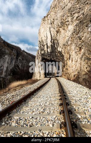 Alte Eisenbahn durch kurze Tunnel in malerischer ländlicher Landschaft. Schwarzweißfoto Stockfoto