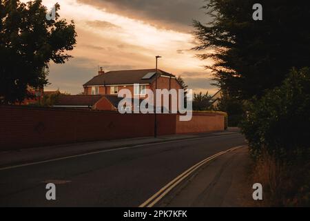 Zwei Pferde in einem Wasserloch in England Stockfoto