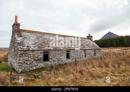 Ein altes verlassenes Steinhaus mit dem Hügel Maiden Pap im Hintergrund, Caithness, Schottland Stockfoto