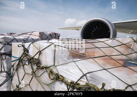 Vorbereitung des Flugzeugs am Flughafen. Beladung von Frachtcontainern gegen Strahltriebwerke des Flugzeugs vor dem Flug. Stockfoto