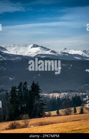 Vom Łapszanka-Pass haben Sie einen wunderschönen Blick auf die hohe Tatra. Berglandschaft in der Umwelt. Tatra-Gebirge, Polen Stockfoto