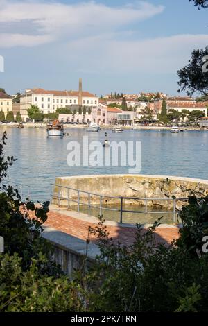 ROVINJ, KROATIEN - 15. MAI 2022 die Altstadt aus der Ferne gesehen zwischen den Tees mit klarem blauem Wasser Stockfoto