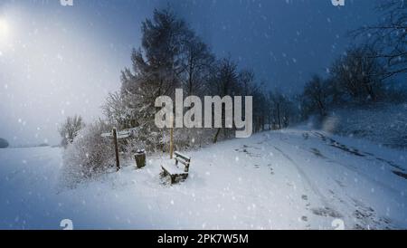 Teutoburger Wald / Eggegebirge, Kempen Zollstockweg im Winter Stockfoto