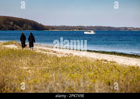 Langballigau, Deutschland. 06. April 2023. Ein Motorboot segelt bei sonnigem Wetter auf dem Flensburger Fjord im Bezirk Schleswig-Flensburg. Kredit: Frank Molter/dpa/Alamy Live News Stockfoto