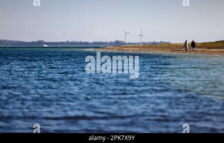 Langballigau, Deutschland. 06. April 2023. Zwei Personen laufen bei sonnigem Wetter am Flensburger Fjord im Stadtteil Schleswig-Flensburg. Kredit: Frank Molter/dpa/Alamy Live News Stockfoto