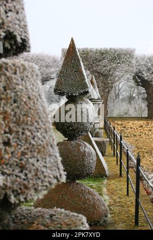 Eine Reihe von Topiareifen mit Pyramiden- und Kugelform im Winter. Stockfoto