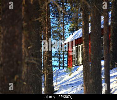 Rote Hütte in den Wäldern in Nordschweden im Winter. Stockfoto