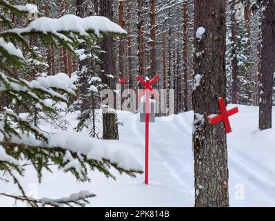 Schneemobilstrecke mit Markierungen im dichten nördlichen schwedischen Wald. Stockfoto