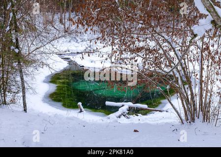 Winter Saula Blue Springs (Siniallikad) Stockfoto