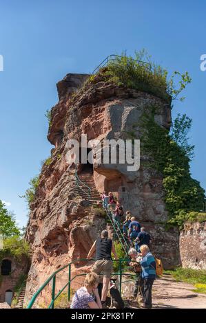 Wanderer auf den Burgruinen Drachenfels im Naturpark Pfalz, Busenberg, Pfalz, Rheinland-Pfalz, Deutschland, Europa Stockfoto