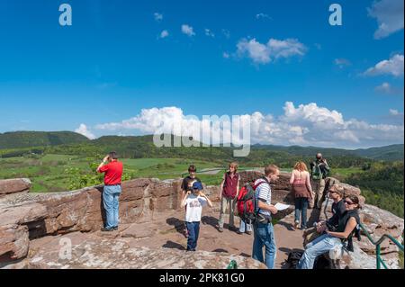 Aussichtsplattform der Burgruinen Drachenfels im Naturpark Pfalz, Busenberg, Pfalz, Rheinland-Pfalz, Deutschland, Europa Stockfoto