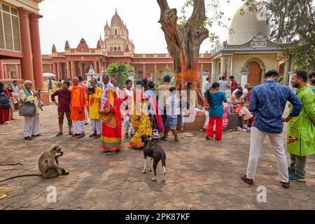 Szene im Dakshineswar Kali Tempel, Kalkutta, Indien. Der Dakshineswar Kali-Tempel ist ein Hindu-Navaratna-Tempel in Dakshineswar, Kalkutta, Westbengalen, Indien. Stockfoto