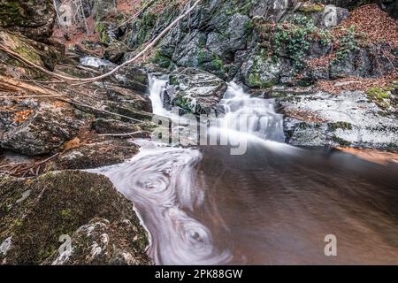 Flume und Wildfluss Steinklamm in Spiegelau im bayerischen Wald Stockfoto