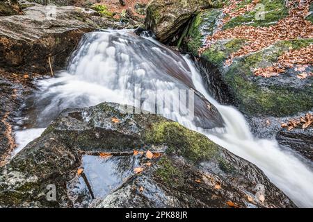 Flume und Wildfluss Steinklamm in Spiegelau im bayerischen Wald Stockfoto