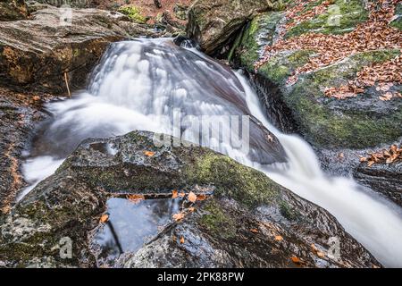 Flume und Wildfluss Steinklamm in Spiegelau im bayerischen Wald Stockfoto