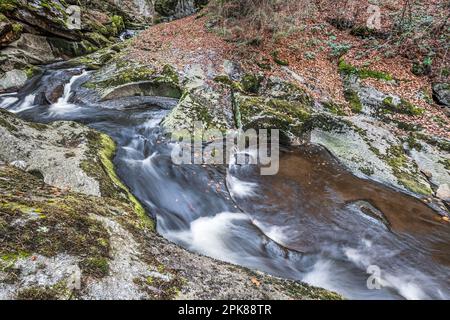 Flume und Wildfluss Steinklamm in Spiegelau im bayerischen Wald Stockfoto