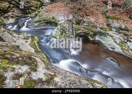Flume und Wildfluss Steinklamm in Spiegelau im bayerischen Wald Stockfoto