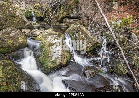 Flume und Wildfluss Steinklamm in Spiegelau im bayerischen Wald Stockfoto
