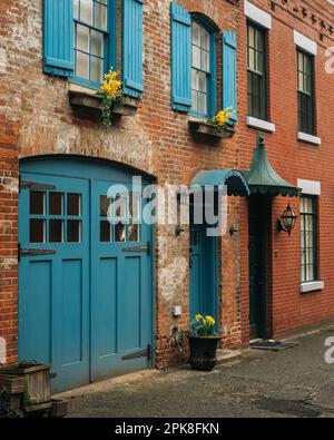 Haus mit blauen Türen und Fensterläden in der Hunts Lane in Brooklyn Heights, Brooklyn, New York Stockfoto