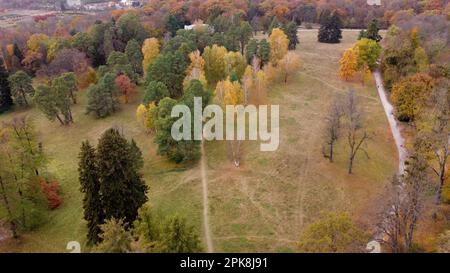 Panoramablick auf den großen Naturpark mit Bäumen mit gelbgrünen roten Blättern, Wiese, Architektur und Menschen, die im Herbst auf unbefestigten Parkwegen spazieren. Wunderschöner Naturhintergrund. Stockfoto