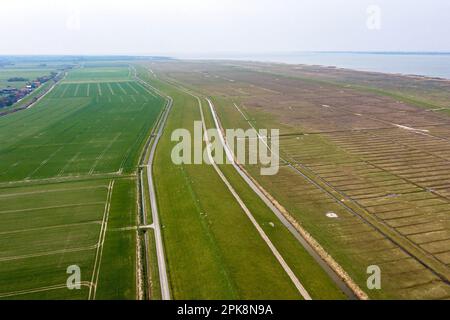 Nessmersiel, Deutschland. 06. April 2023. Schafe und Lämmer auf einem Deich in Ostfriesien. Angesichts von immer mehr von Wölfen zerrissenen Schafen entlang der Küste sehen die Jäger den Küstenschutz in Gefahr und fordern die Politiker auf, zu handeln. Die zehn Küstenjägerverbände Emden und Stade sowie die Landesjägerverbände Niedersachsen und Bremen unterzeichneten ein Positionspapier in Aurich, Ostfriesien. Kredit: Sina Schuldt/dpa/Alamy Live News Stockfoto